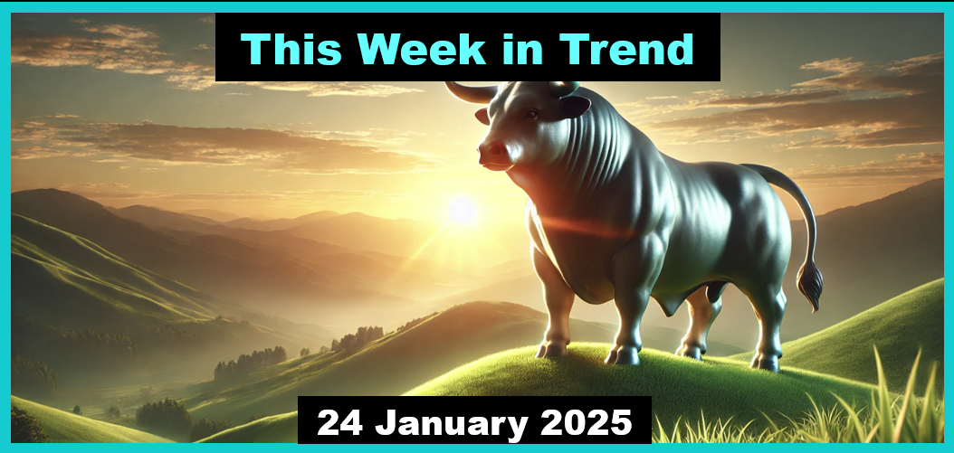 Trend Following - Week in Review - January 24, 2025