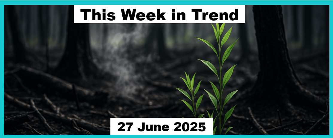 Trend Following - Week in Review - June 27, 2025