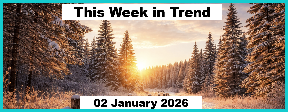 Trend Following - Week in Review - January 2, 2026